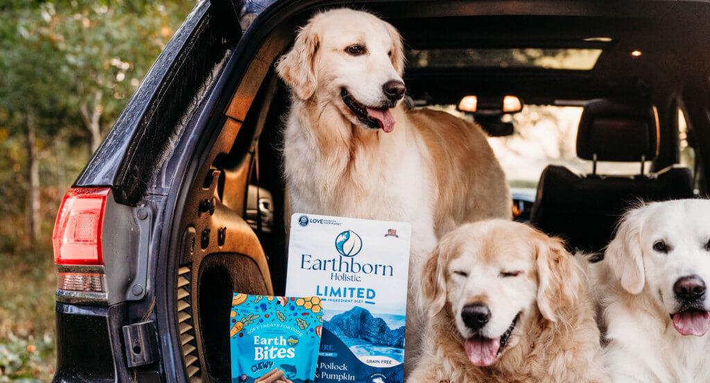 Three dogs sit in back of car with a bag of dog food and treats