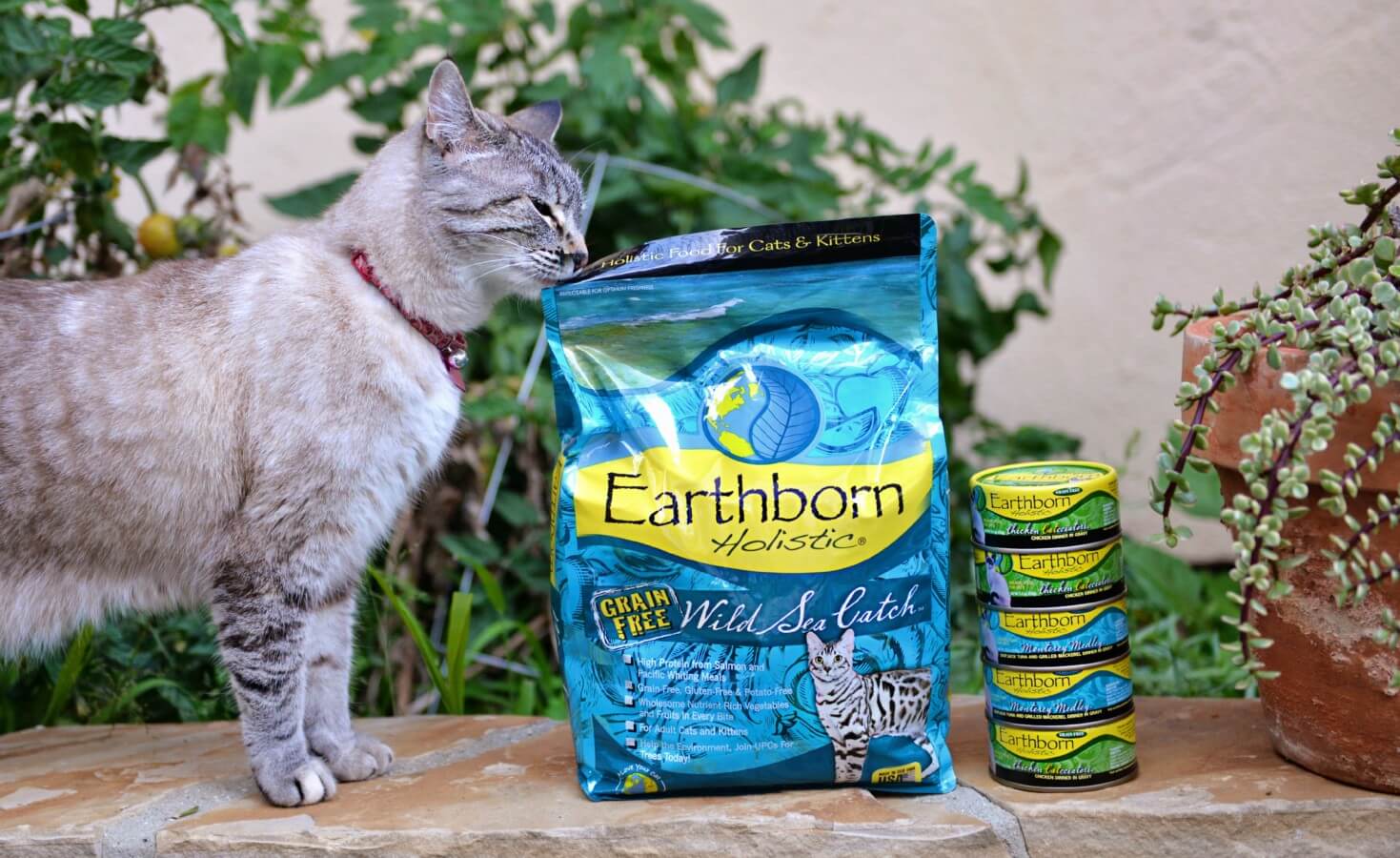 A cat sniffs the corner of an Earthborn Holistic cat food bag