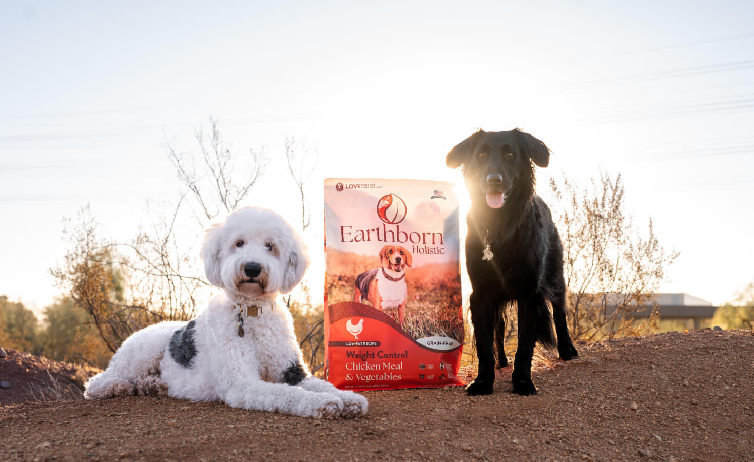 Two dogs sit beside a bag of dog food