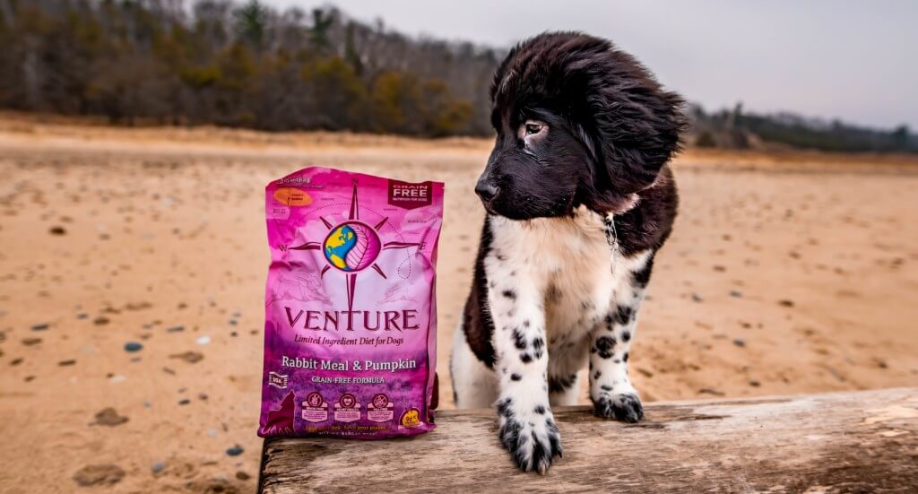 A Newfoundland puppy stands next to a bag of Venture Rabbit Meal & Pumpkin dog food