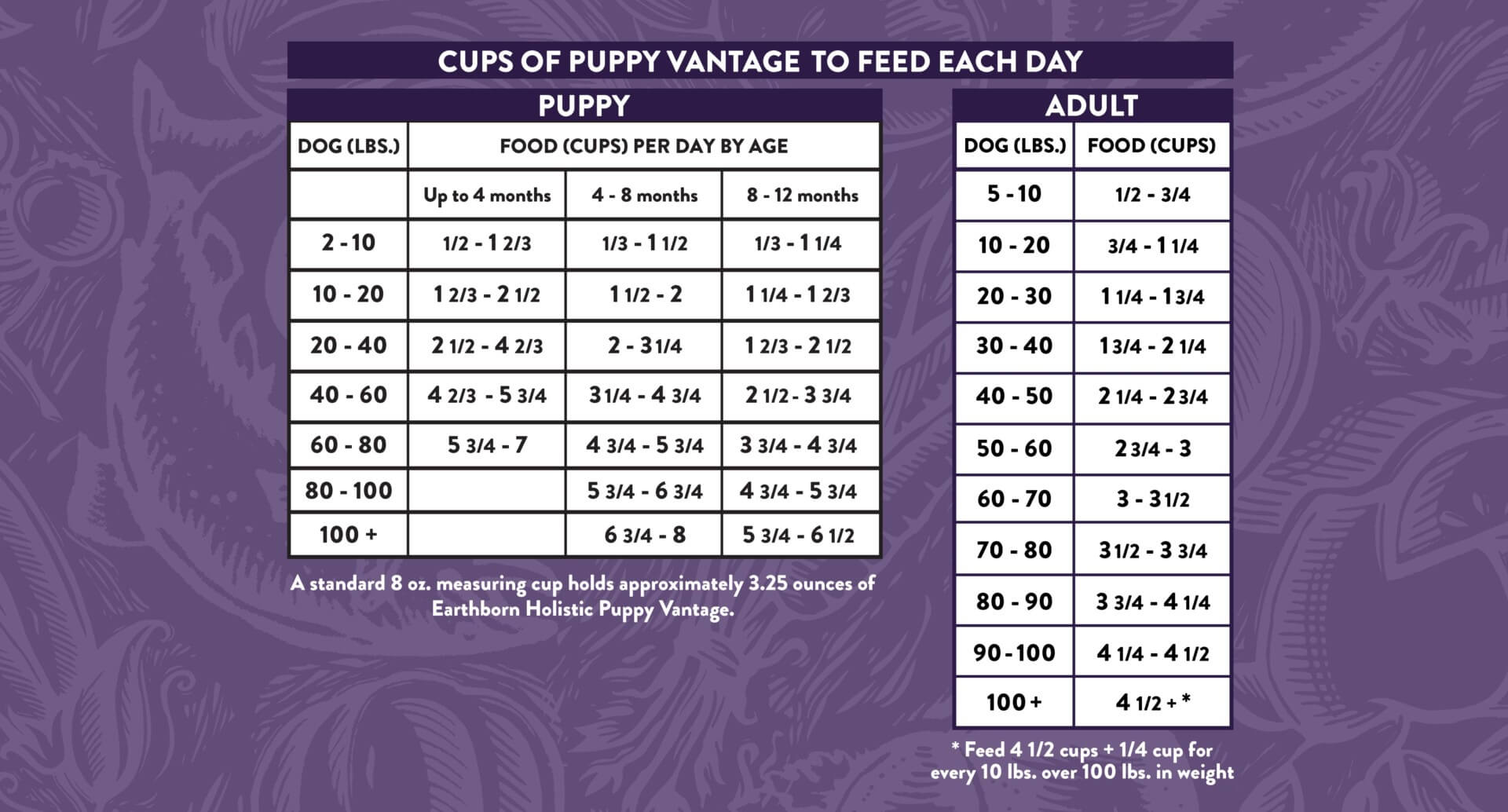 The feeding chart for Earthborn Holistic Puppy Vantage