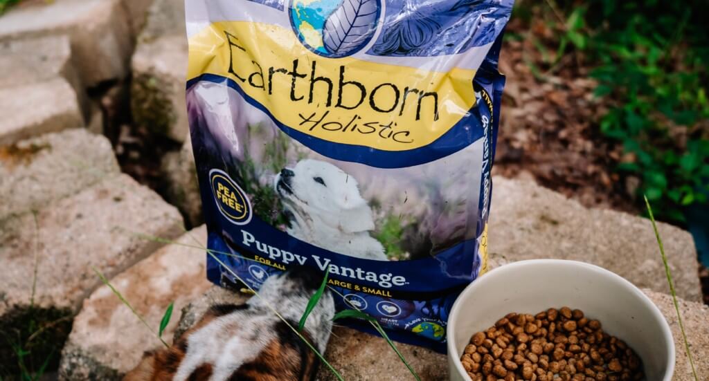 A puppy sniffs a bag of Puppy Vantage dog food