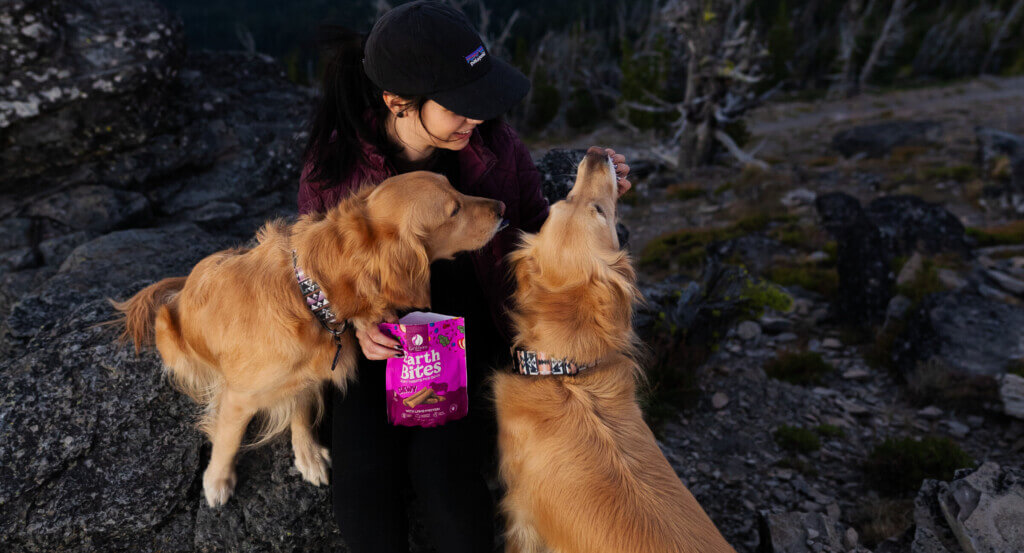 two dogs reach for treat from person