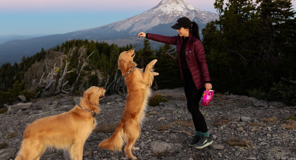 Woman holds treat out as dog stands to grab treat