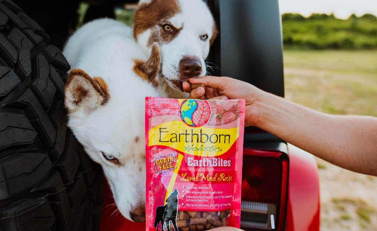 Two dogs stick their heads out of the back of a red Jeep and sniff an Earthborn Holistic treat bag being held by a human