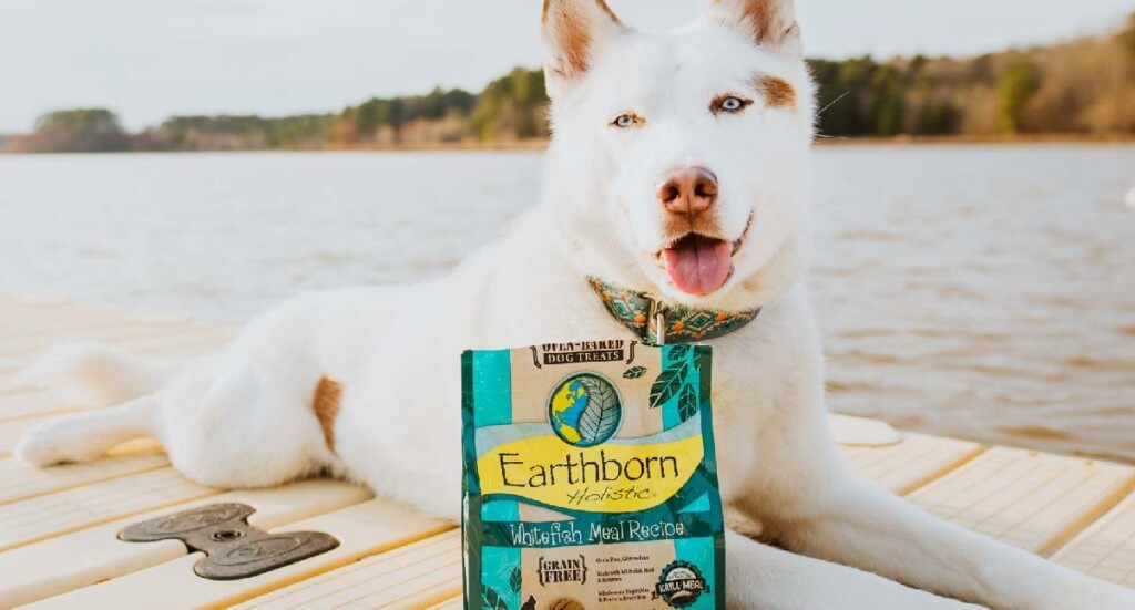 A husky lays on a dock by a lake next to a bag of Earthborn Holistic dog biscuits