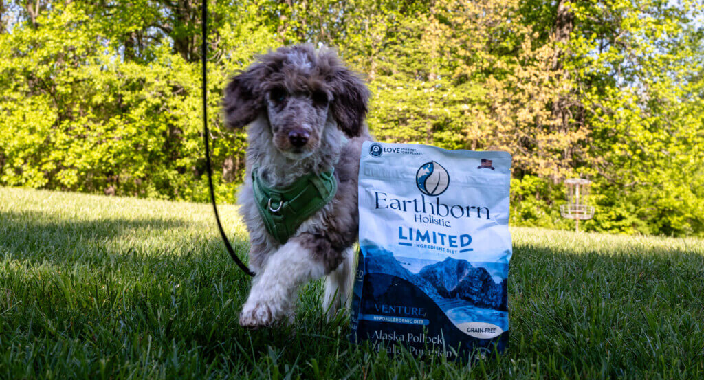 Dog walks around a bag of dog food