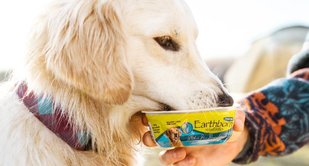 A golden retriever eats out of a tub of Duke's Din Din wet dog food