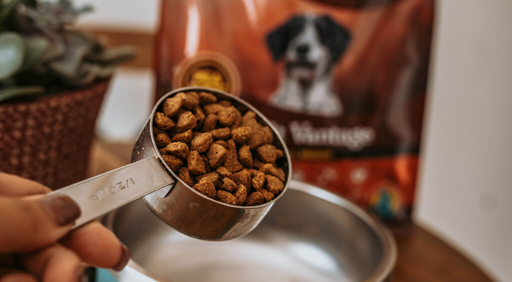 A closeup of a person scooping kibble into a dog bowl