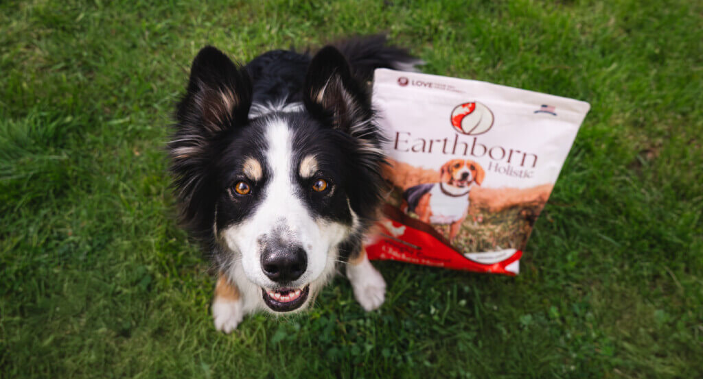 Dog looks up sitting next to a bag of Weight Control dog food