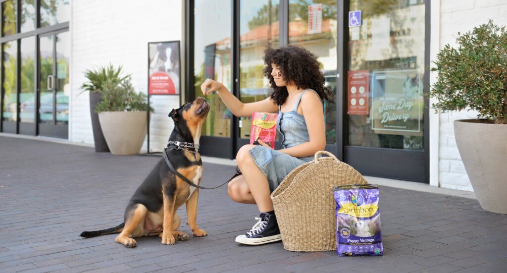 A woman kneels to give her puppy a treat for sitting