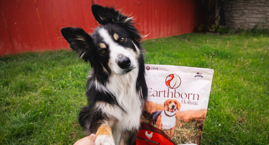 Dog sits with head tilted while shaking a humans hand next to a bag of Weight Control dog food