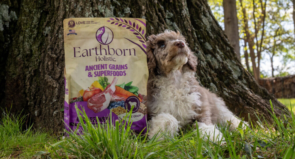 Dog looks up as they lay next to bag of dog food