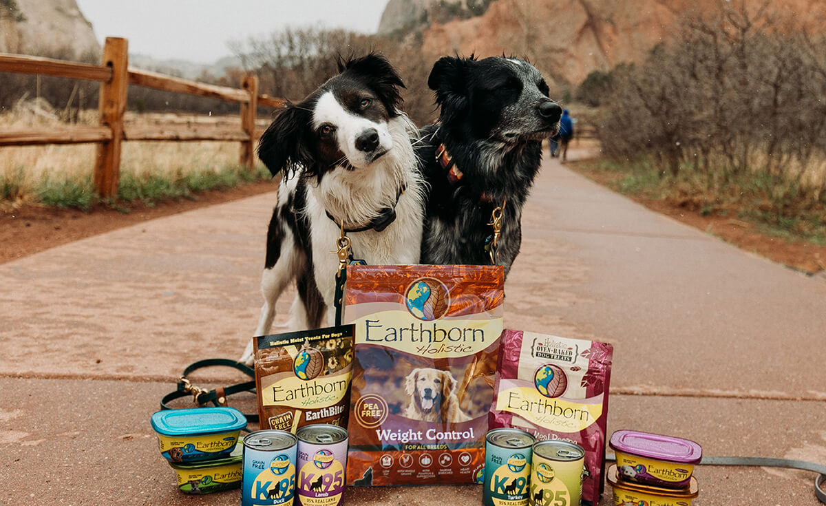 Two dogs stand behind an assortment of Earthborn Holistic wet and dry dog food