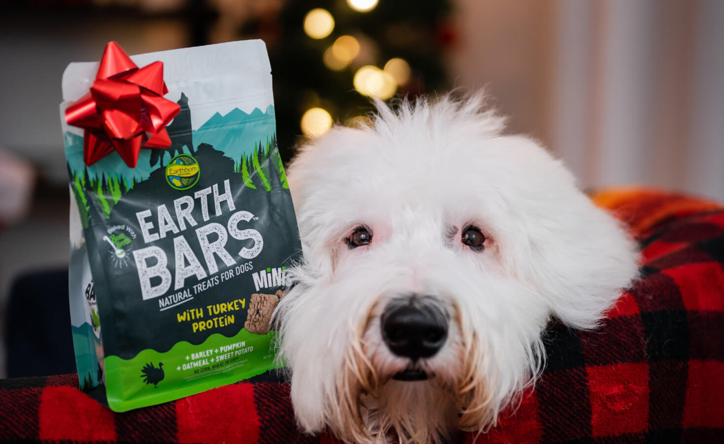 dog sits with head on couch next to a bag of EarthBars