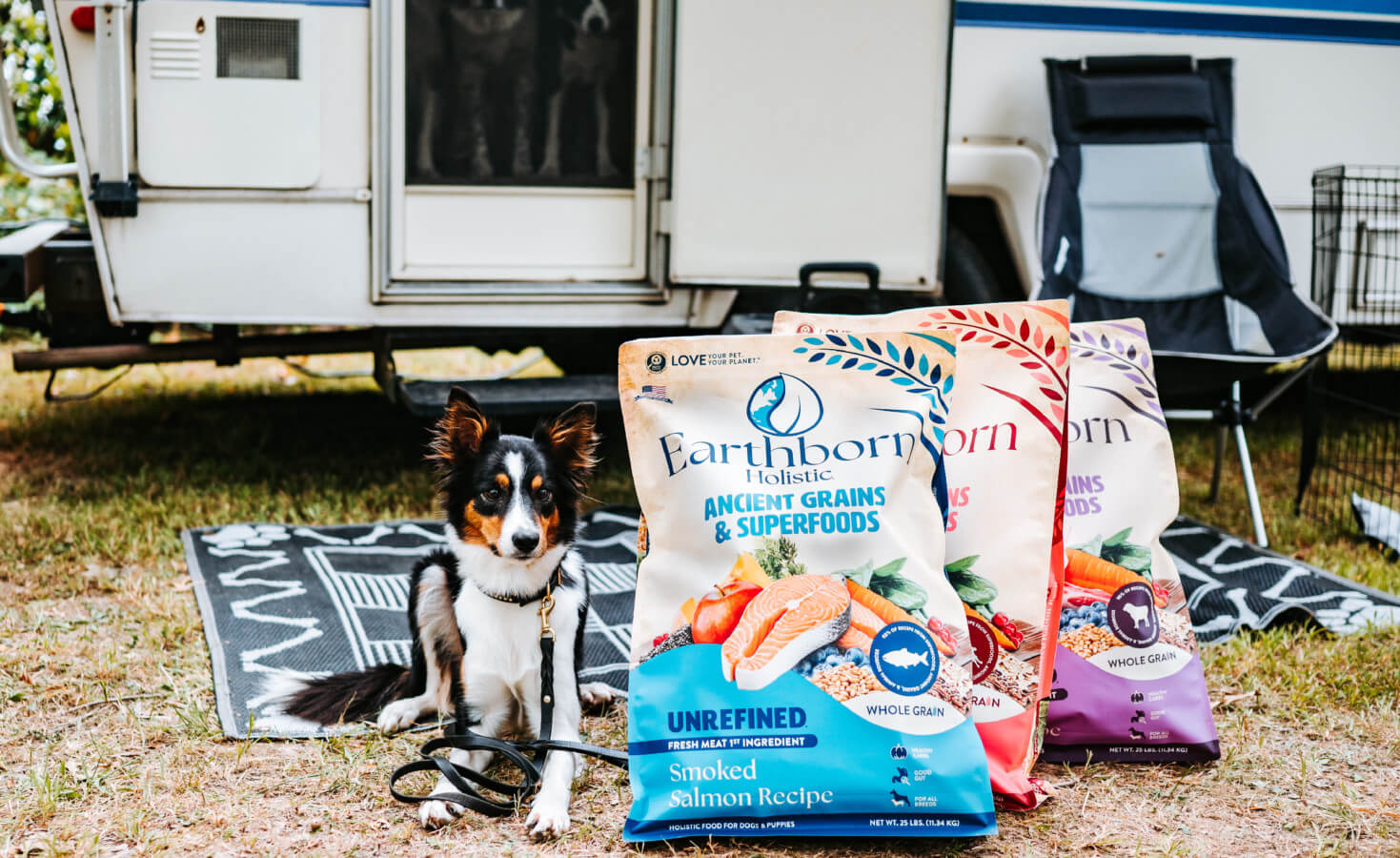 dog sits next to 3 bags of dog food