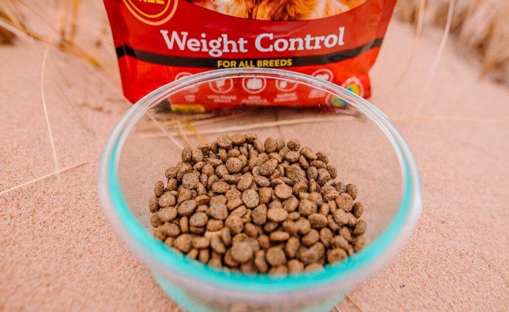 A closeup of a bowl filled with Earthborn Holistic Weight Control dog food