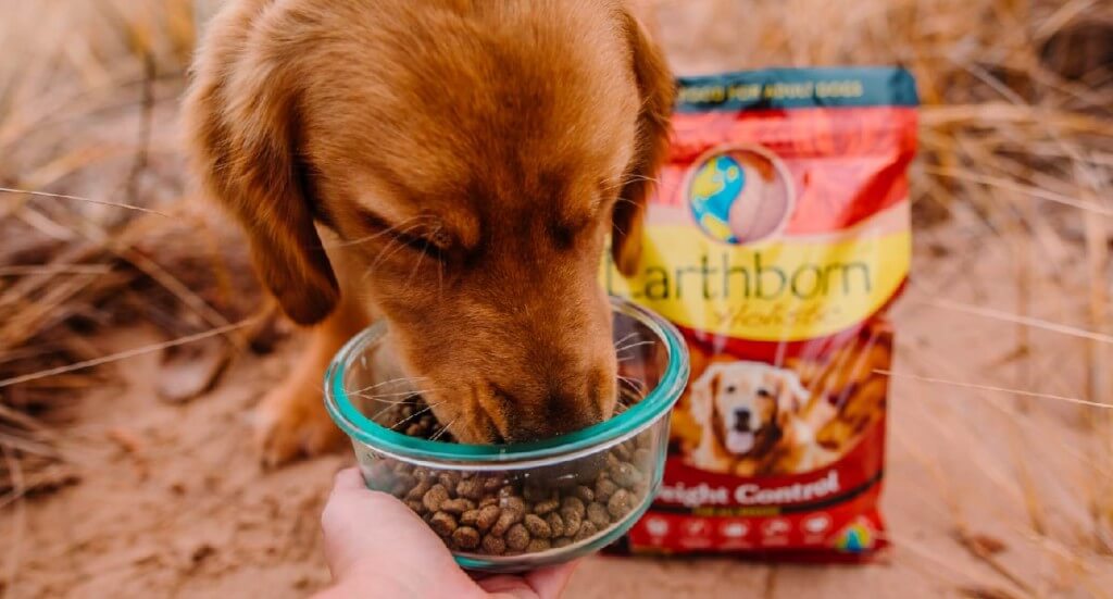 A dog eating kibble out of a clear bowl being held by a human.