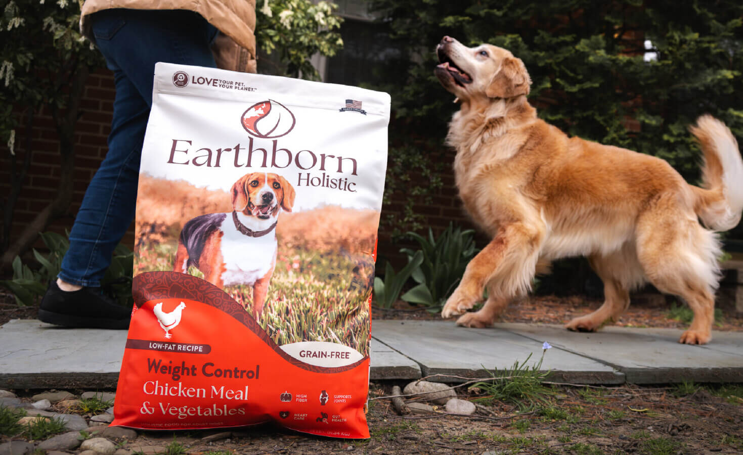 Bag of weight control sits in front of dog following a person