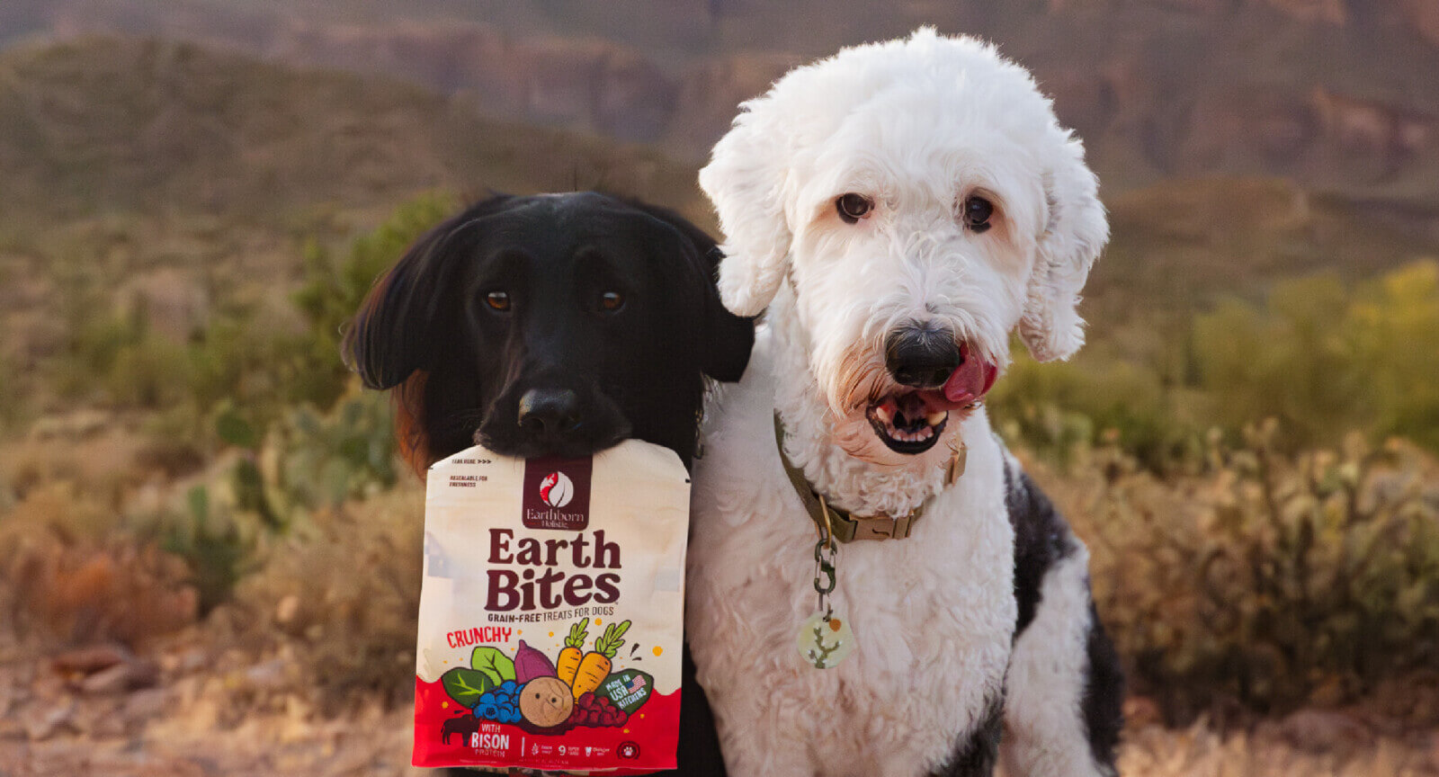 Grain Free Weight Loss Dog Food: What Is it and How Can it Help Your ...