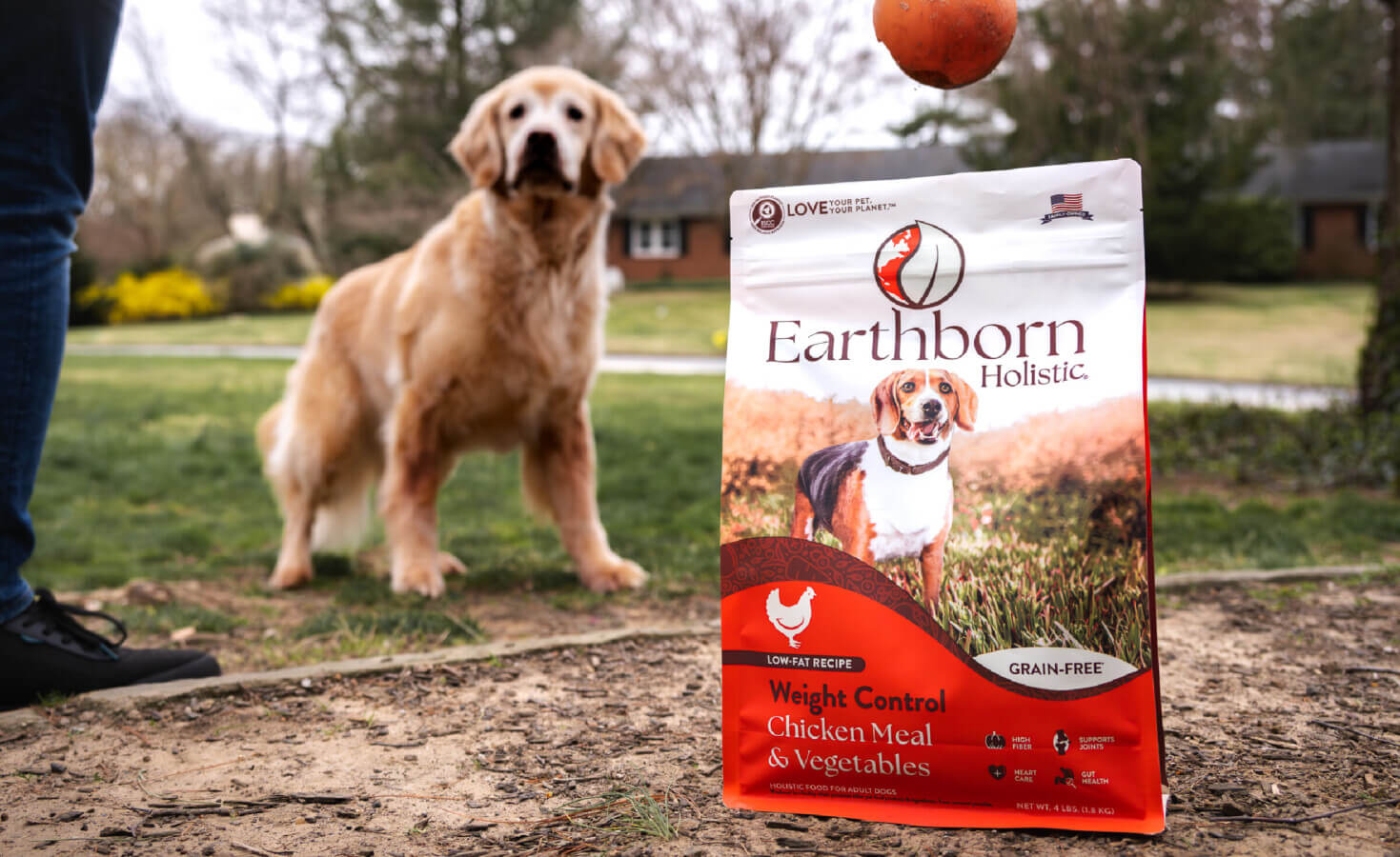 Bag of Weight Control sits in front of dog playing fetch