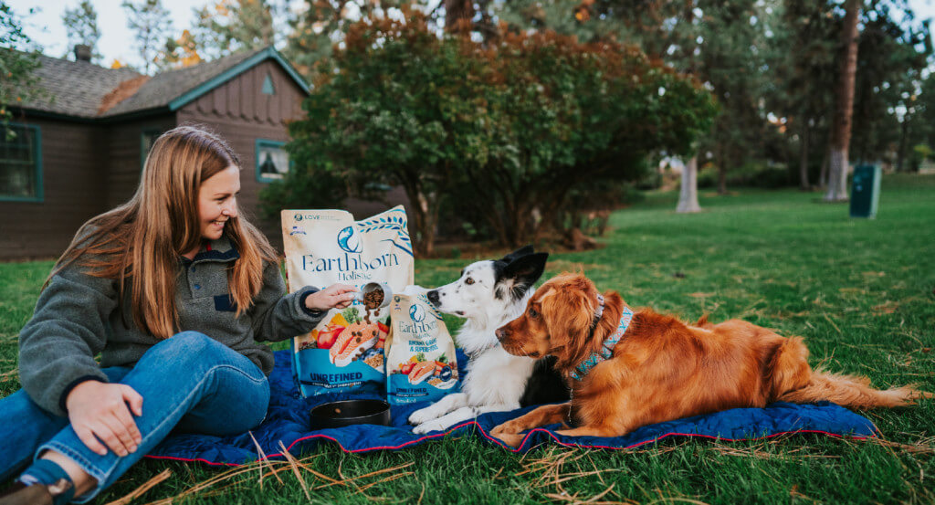 Two dogs sit on a blanket with 2 bags of food as person gives them food