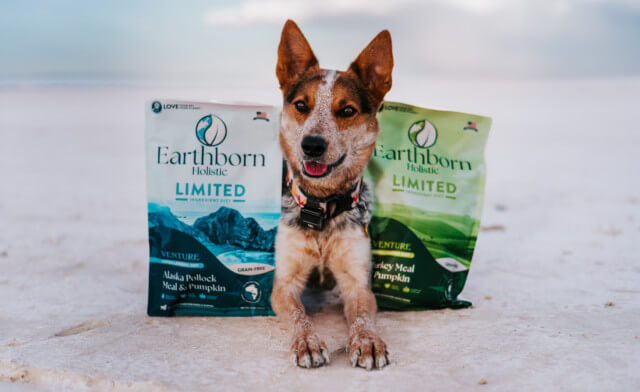 Limited Ingredient Dog Food: The Best Dog Food for Dogs With Allergies
