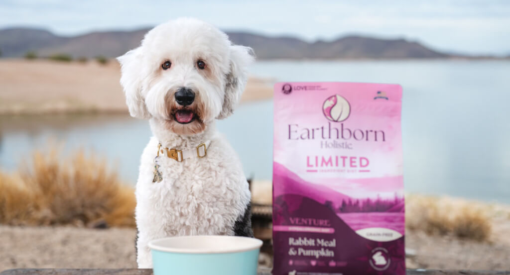 Dog sits behind a bowl and bag of dog food