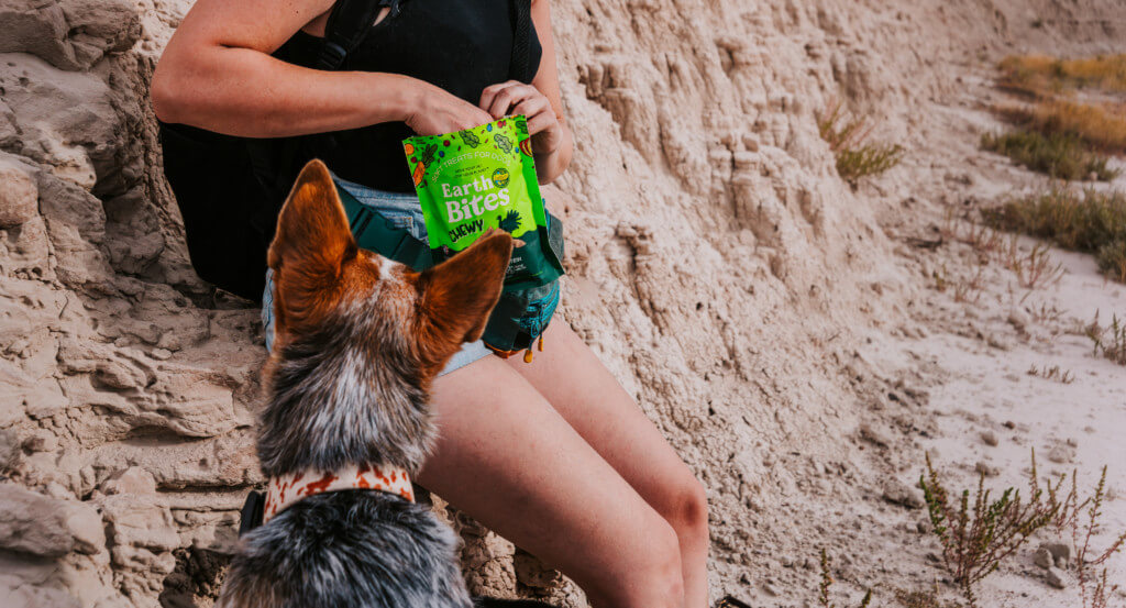 Person gives dog a treat while leaning against a rock