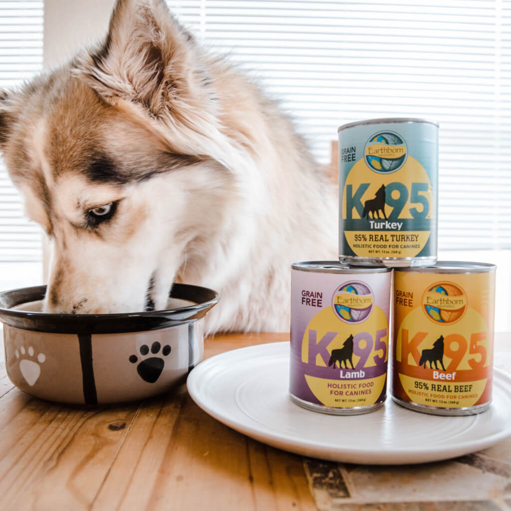 A dog eats out of a bowl with a stack of canned K95 dog food next to him