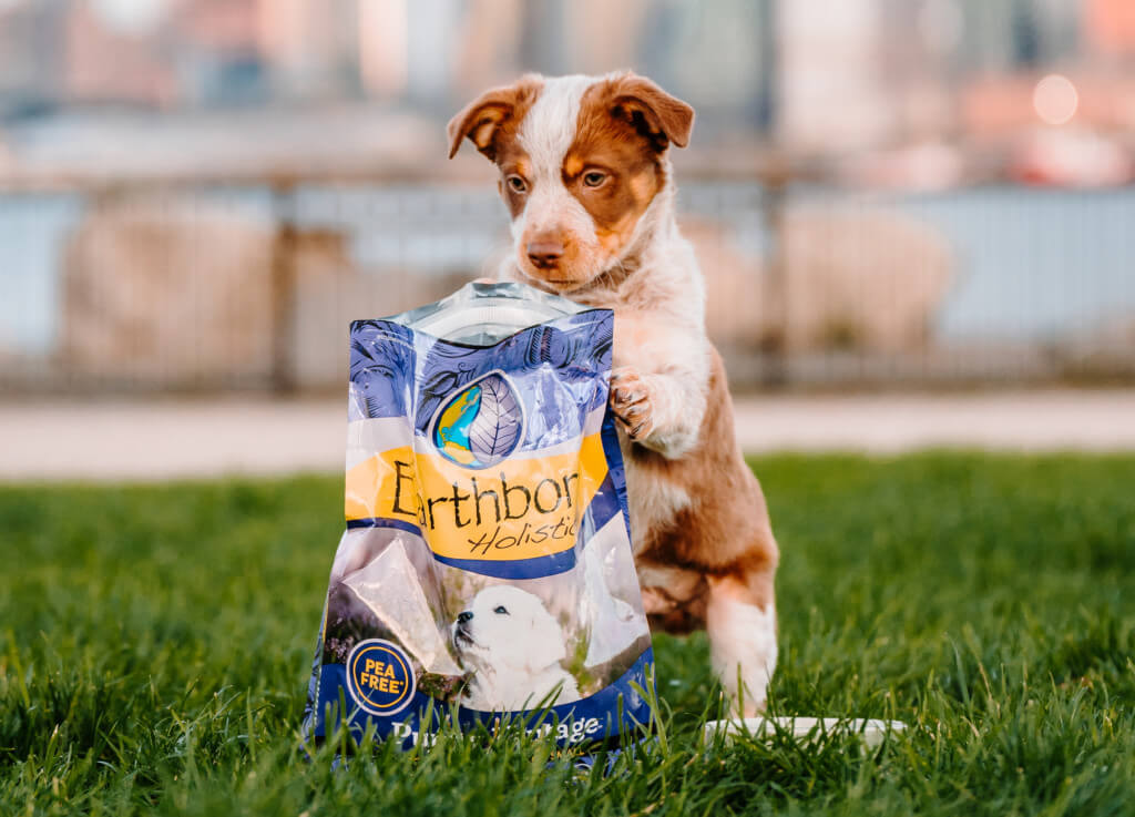 A puppy jumps up onto a bag of Earthborn Holistic puppy food