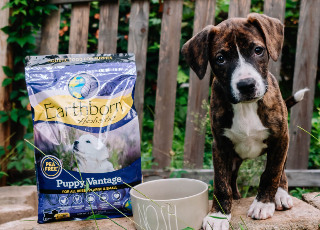 A puppy with a head tilt stands next to a dog bowl and a bag of Puppy Vantage puppy food