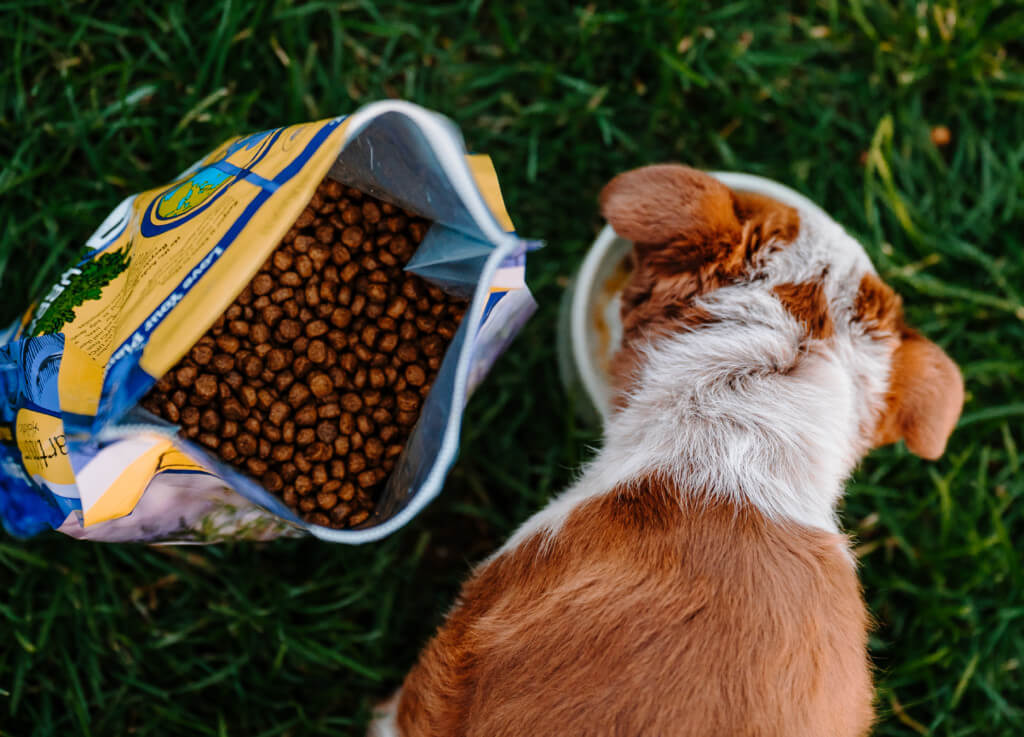 An overhead shot of an open bag of puppy food and a puppy eating out of a bowl