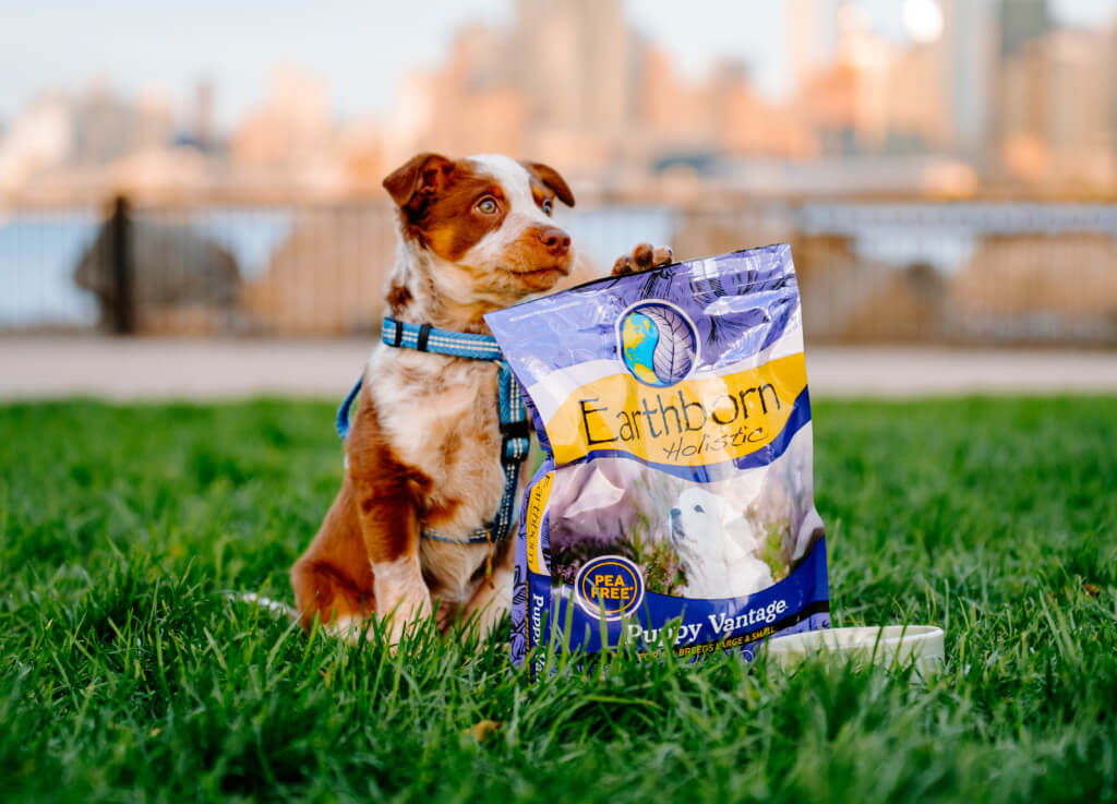 A puppy stands behind a bag of puppy food with a paw on the bag