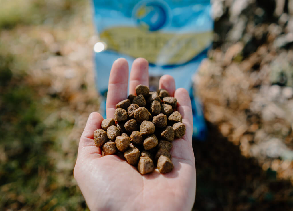 A hand holds a handful of kibble. A bag of Earthborn Holistic dog food can be seen in the background
