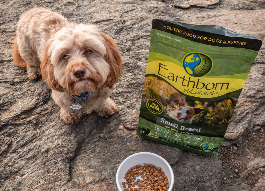 A small breed dog stands next to a bag of Earthborn Holistic Small Breed dog food and a bowl of kibble