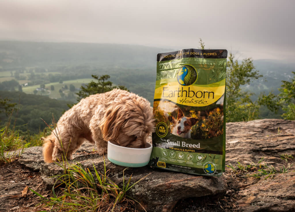 A dog eats out of a food bowl while a bag of Earthborn Holistic Small Breed dog food sits beside the bowl