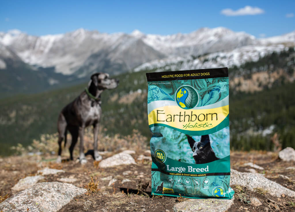 A bag of Earthborn Holistic Large Breed dog food. A Great Dane can be seen standing in the background