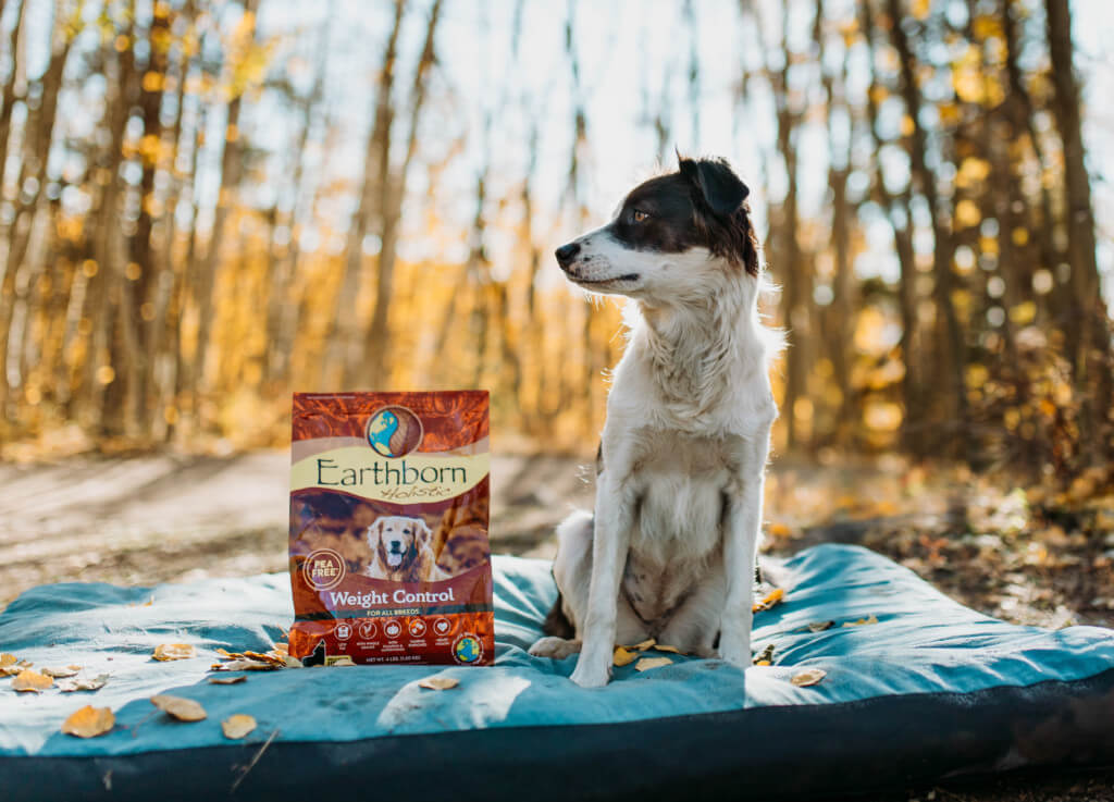 A dog sits on a dog bed next to a bag of Earthborn Holistic Weight Control dog food