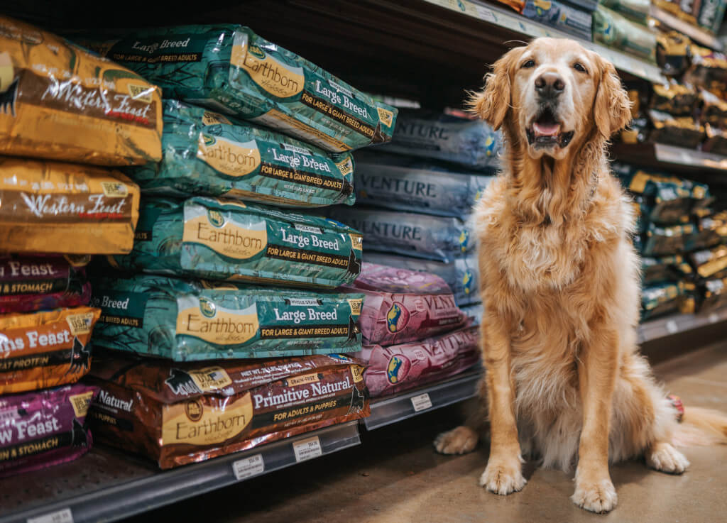 A retriever stands next to a shelf in a pet store stacked with Earthborn Holistic dog food