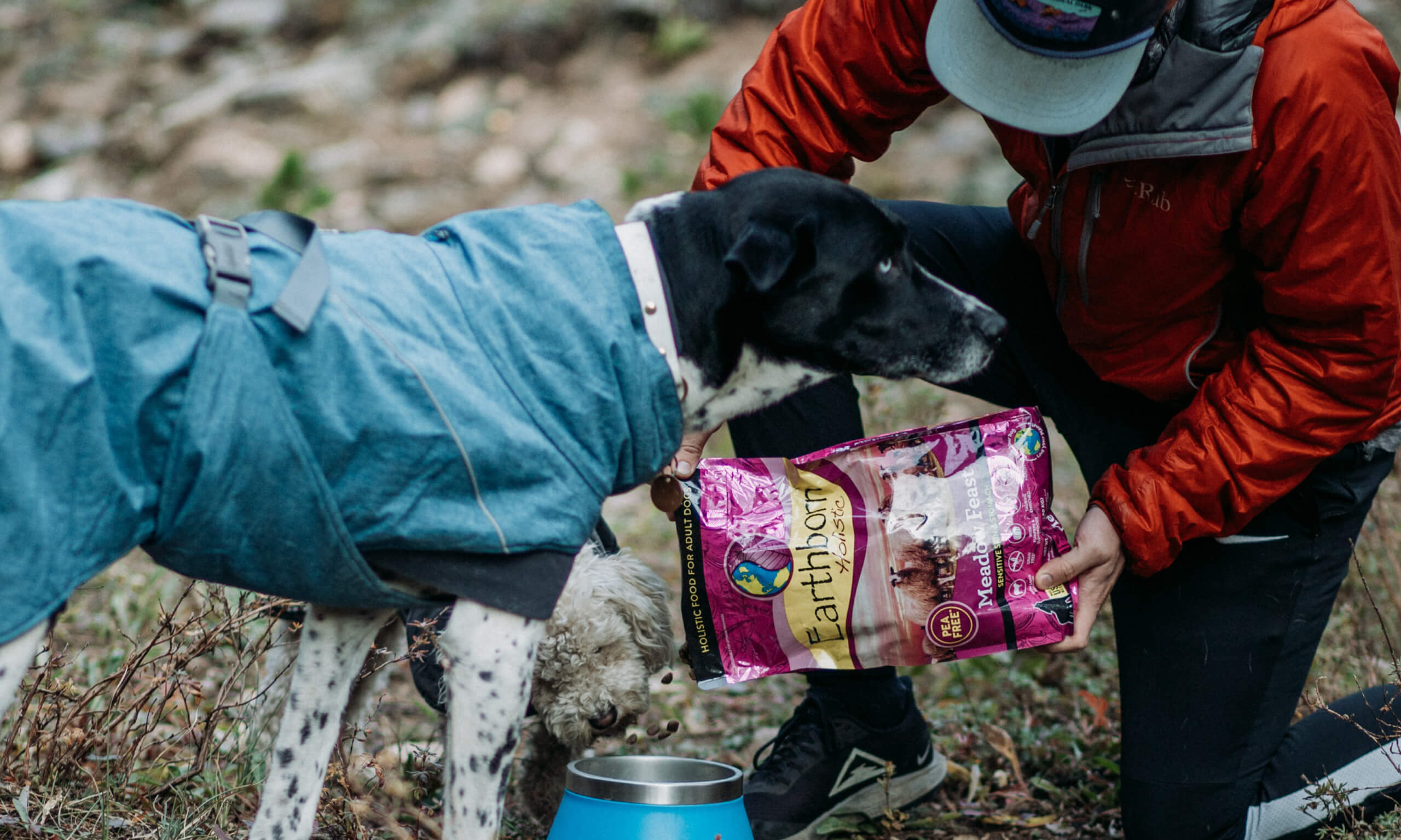 Holistic Grain Free Dog Food 101 | Earthborn Holistic Pet Food