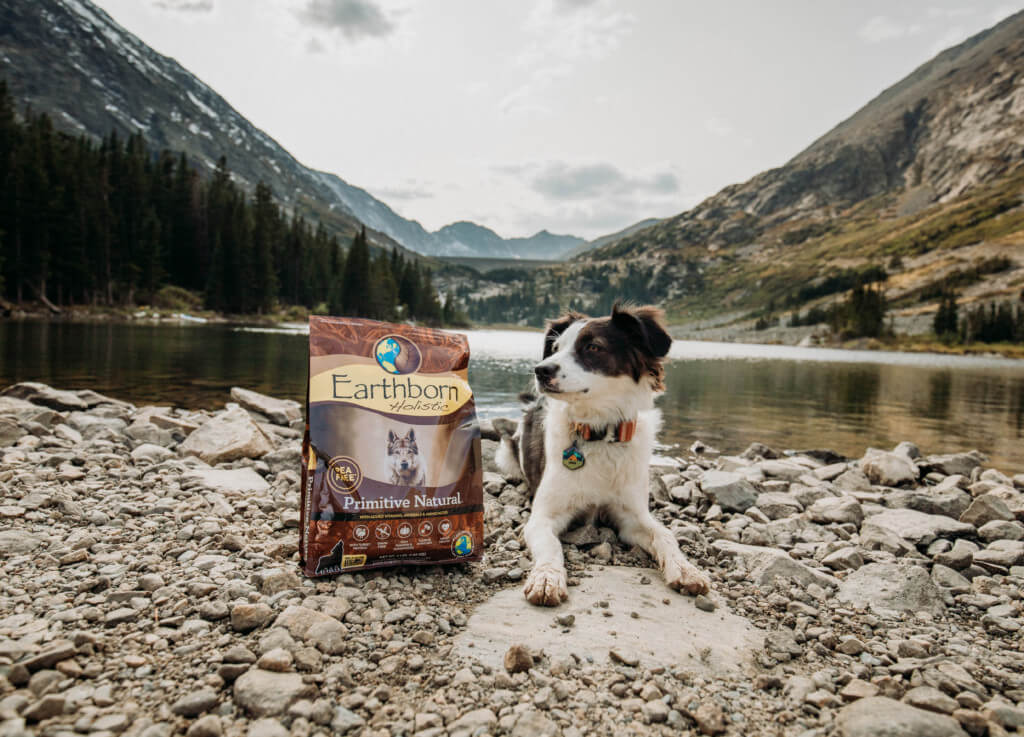 A dog lays in front of a mountain scenery next to a bag of Earthborn Holistic Primitive Natural dog food