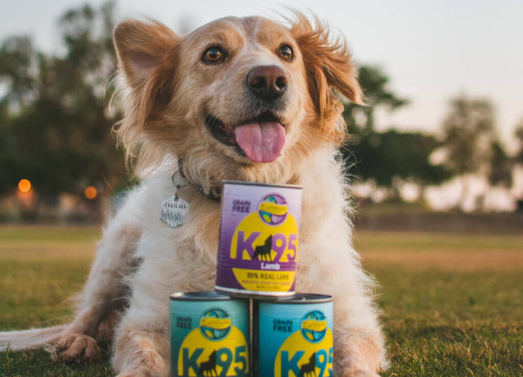 A smiling dog lays behind a stack of canned K95 dog food