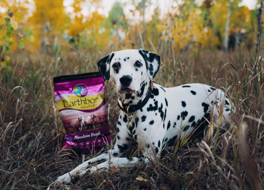 A dog lays in a field next to a bag of Meadow Feast dog food