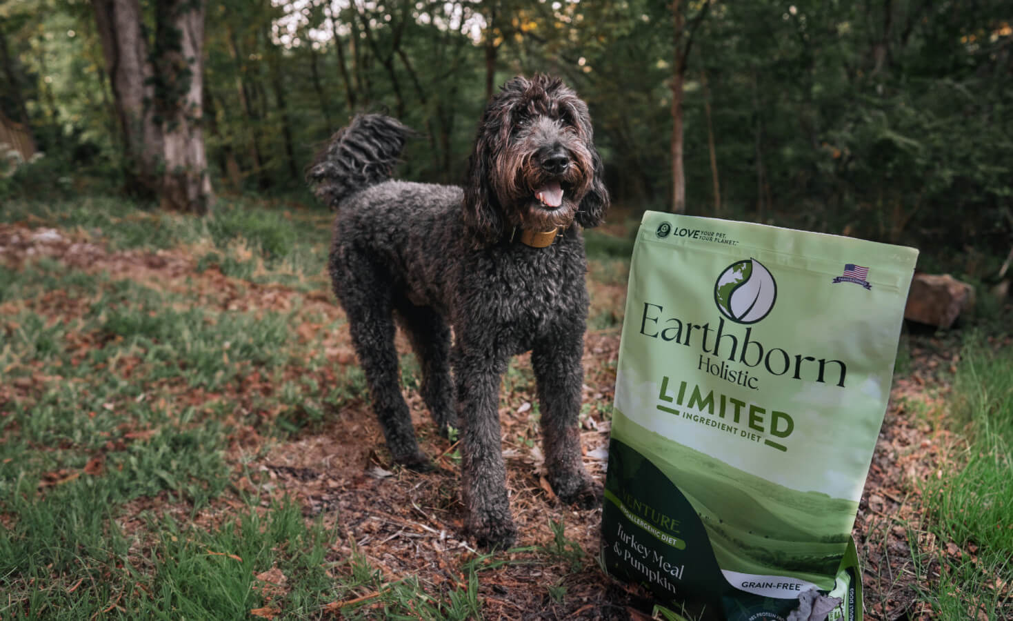 Dog stands with tongue out next to bag of food