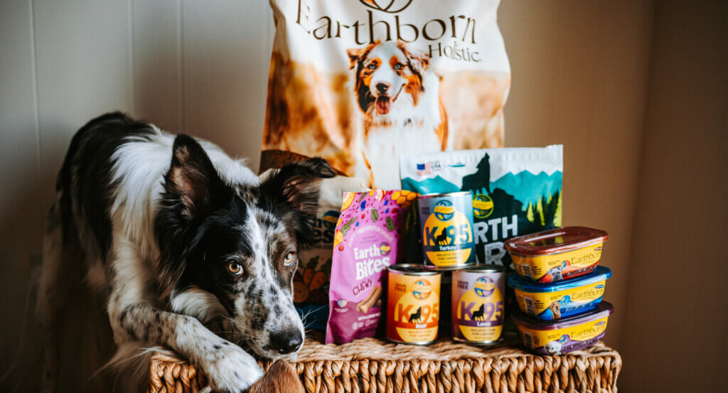 dog lays with head down next to a variety of Earthborn Holistic foods and treats