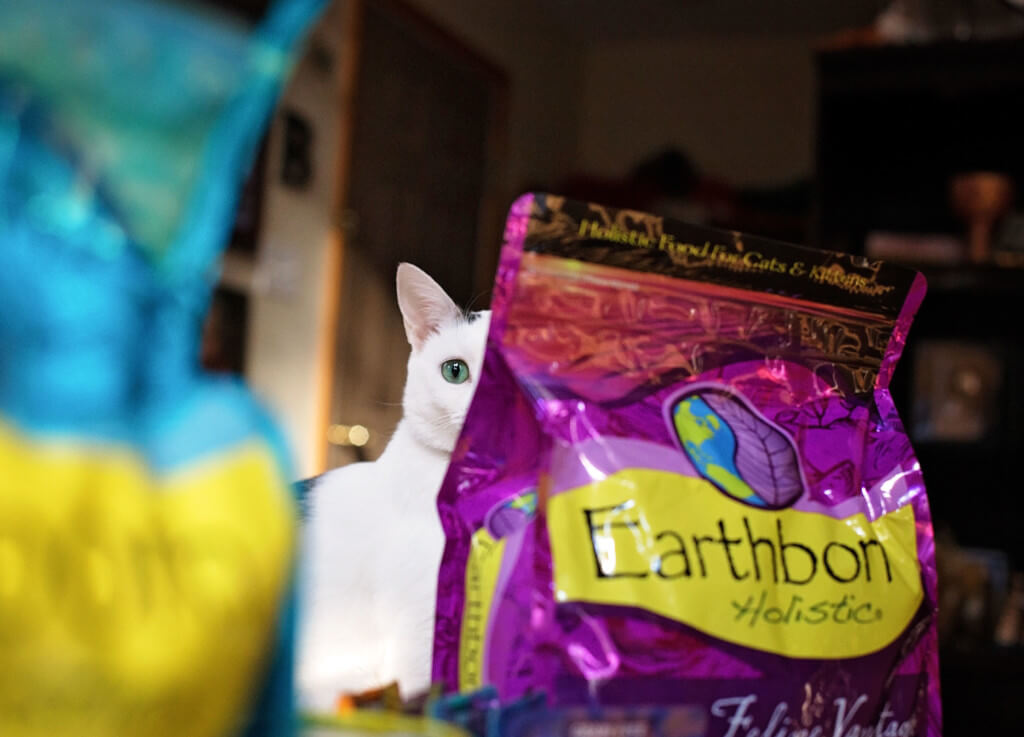 A cat peeks at the camera from between two bags of Earthborn Holistic cat food