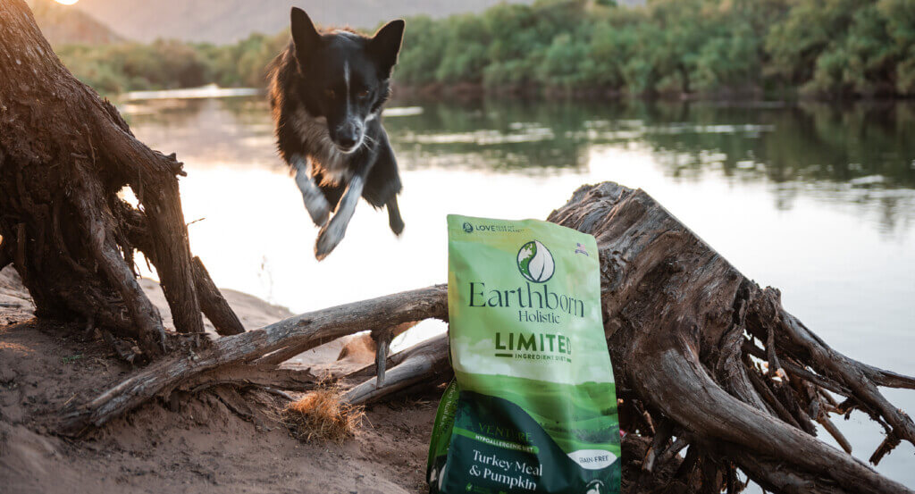 Dog jumps over log in water while bag of Venture dog food sits on bank