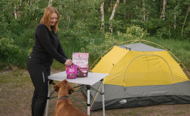 Dogs & Allergies: A Guide to Reducing Allergy Symptoms