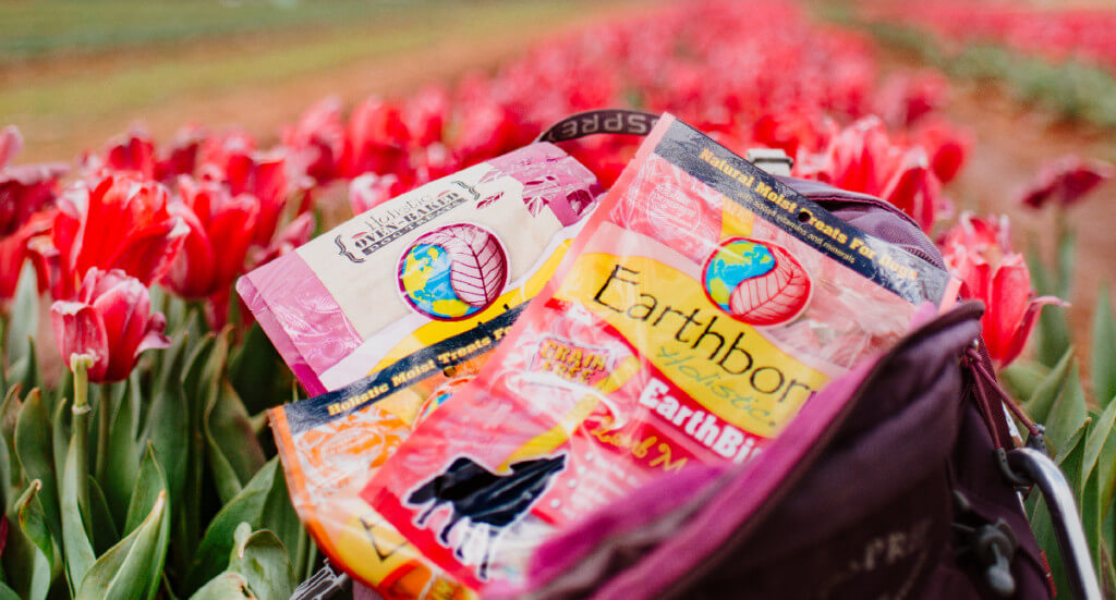 A few bags of Earthborn Holistic dog treats lay in a backpack that's sitting in a tulip field